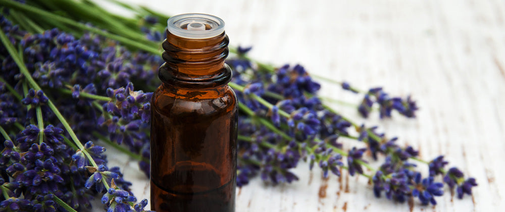 Discover the Best Essential Oils for Fall Season